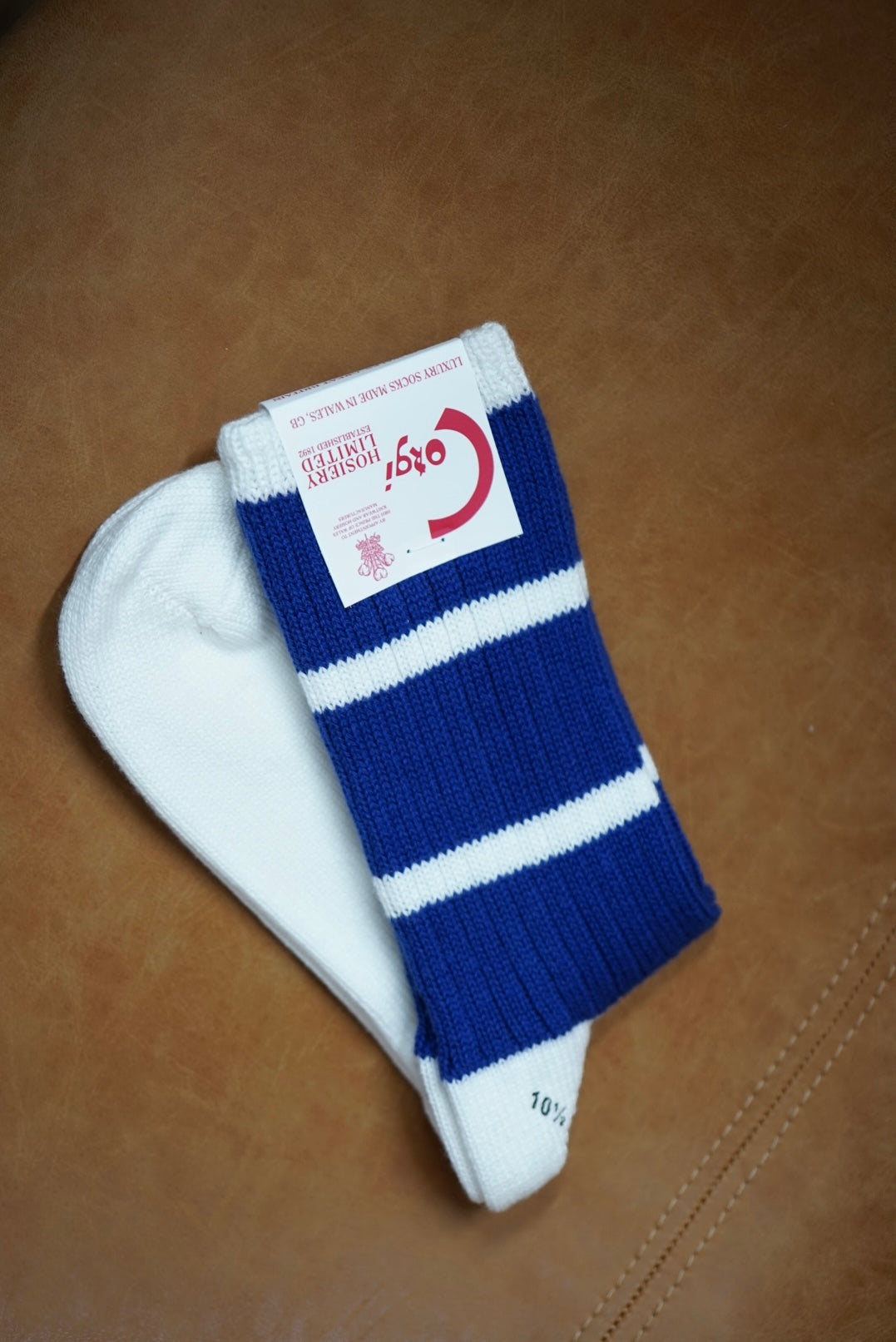 Corgi Sports Line Socks. -Blue-