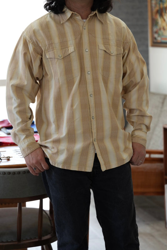 Patagonia Rhythm Western Shirt.