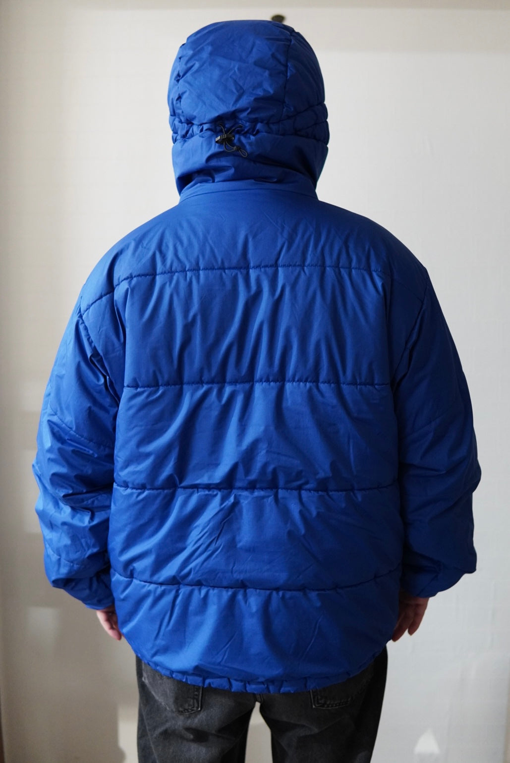 1998s Patagonia DAS Parka.-Blue Ribbon-