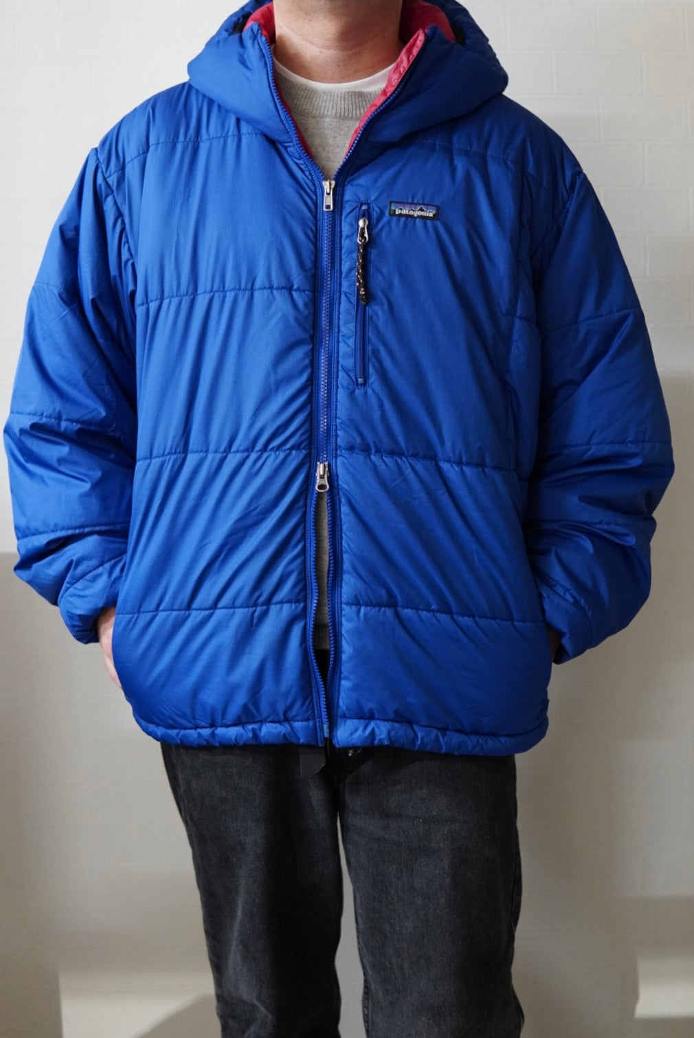 1998s Patagonia DAS Parka.-Blue Ribbon-